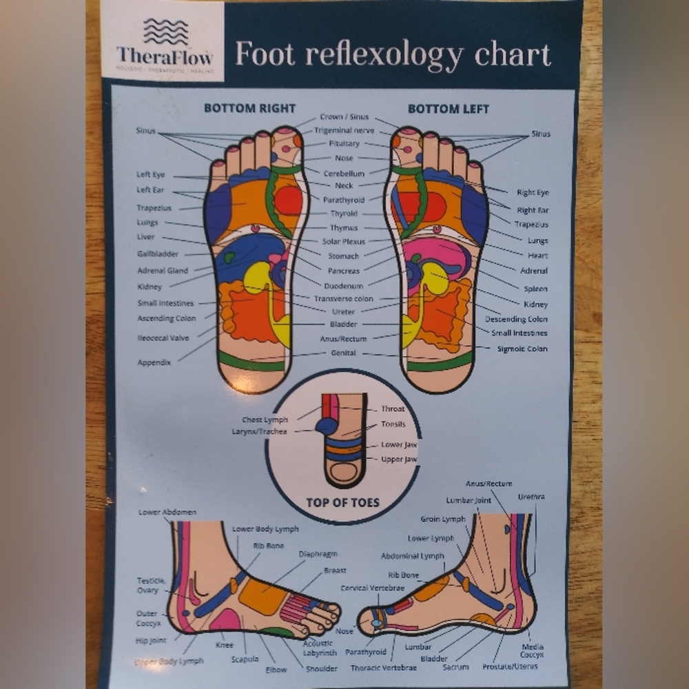 Foot Reflexology Chart with Theraflow Box